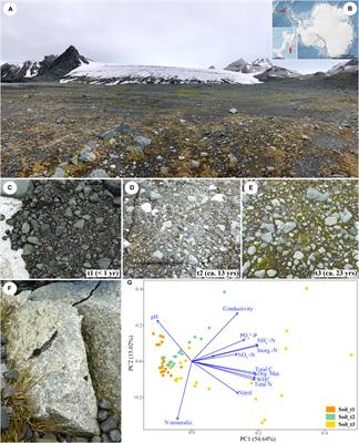 Differential Colonization and Succession of Microbial Communities in Rock and Soil Substrates on a Maritime Antarctic Glacier Forefield